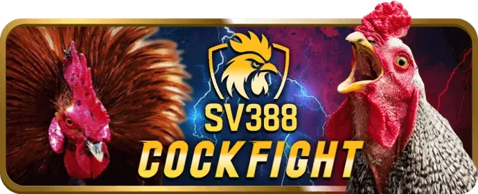 Ưu đãi chào mừng febet