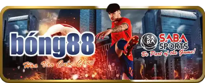 Cá cược Esports febet